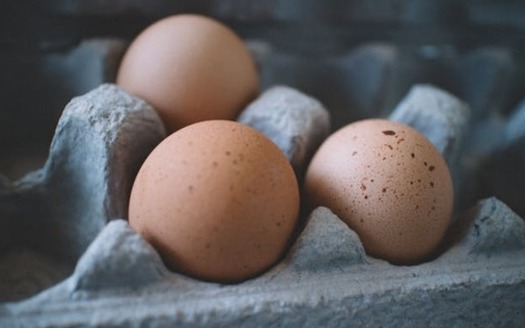 Avian influenza is caused by the same type of virus that causes seasonal influenza in humans. <br />(Pexels)
