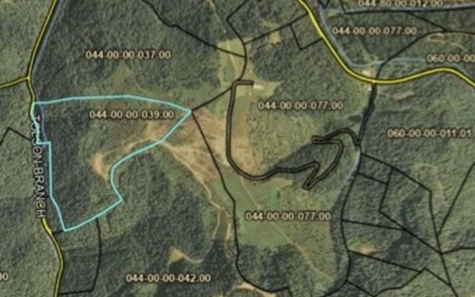 A map shows a community land purchase in Letcher County, Kentucky. (qPublic.net/Institute to End Mass Incarceration)