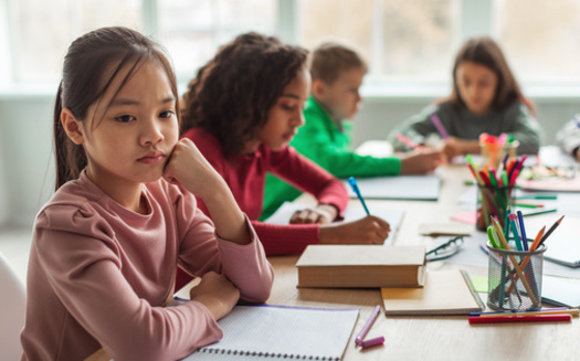 Rep. Suzanne Bonamici, D-Ore., offered a resolution to protect public education, which was backed by the American Federation of Teachers, National Education Association, the Parent Teacher Association and many others. (Prostock-studio/Adobe Stock) 