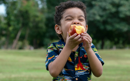 The Texas Department of Agriculture hopes to reach children in rural areas who haven't previously participated in Summer Meal Programs because of transportation barriers. Eligible sponsors in those areas can apply to distribute meals outside of the required group settings and meal service times. (chomplearn_2001/Adobe Stock)