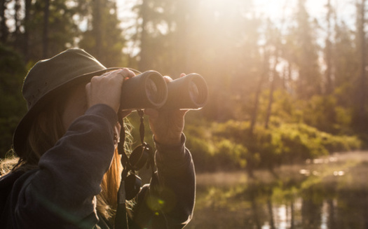 The largest flock identified in the Great Backyard Bird Count was a group of four million bramblings in Germany. (Adobe Stock)