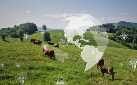 An estimated 26% of the world's greenhouse gas emissions come from food. (Adobe Stock)