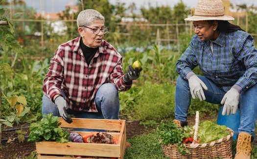 AARP Community Challenge grants have helped launch community gardens, which help improve livability for residents in a number of ways. (Adobe Stock)