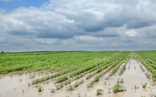Federal assistance for farmers recovering from natural disasters such as droughts, floods and wildfires is uncertain without a new Farm Bill. (sima/Adobe Stock)