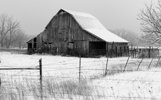 Lack of exposure to sunlight is believed to be one cause of seasonal affective disorder, most prevalent in winter. It tends to affect women more than men, according to the National Alliance on Mental Illness in Iowa. (Adobe Stock)