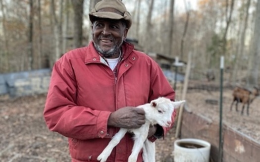 The USDA has a long history of refusing to process loans from Black farmers, and approving smaller loans compared to white farmers. (Brittany Bell Surratt)