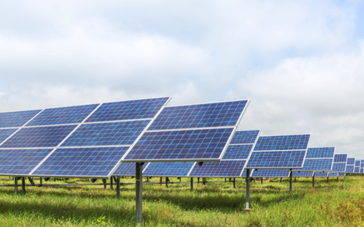 More than 7.5% of the Commonwealth's electricity comes from solar power. (Adobe Stock)