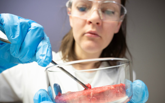 In the United States, as many as 64% of consumers demonstrate no familiarity at all with cultivated meat, while roughly 10% are very or extremely familiar with the concept. (Adobe Stock)