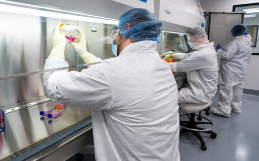 Data from Penn Medicine finds as of January 2024, more than 30,000 people in the U.S. have received CAR T-cell therapy since it was approved for use in 2017. (Roswell Park Comprehensive Cancer Center)