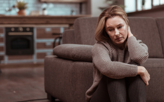 One contributing factor to seasonal affective disorder, the technical name for wintertime blues, is a lack of sunlight, which is a crucial source of vitamin D and helps regulate wake/sleep cycles. (zinkevych/Adobe Stock)