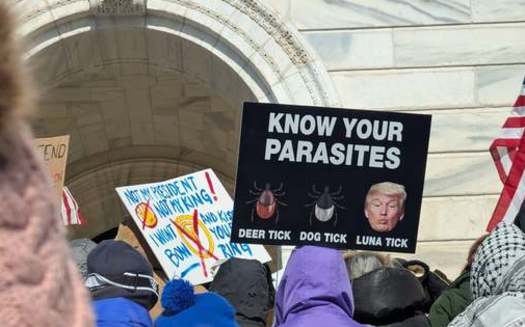 The scene from outside Minnesota's State Capitol on Monday as another round of national protests was held in response to controversial actions of President Donald Trump's administration. (Courtesy of u/Buck_Thorn/Reddit) 