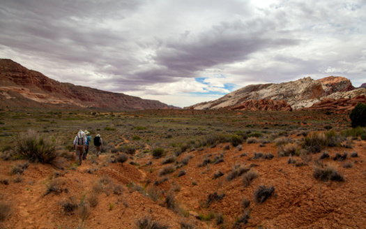 Pollsters found 85% of Utahns prefer decisions about public lands, water and wildlife be made by career professionals such as rangers, scientists and firefighters rather than newly appointed officials who come from other industries. (Adobe Stock)
