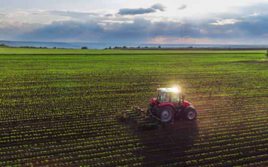 President Donald Trump imposed tariffs on imports from China earlier this month and the Chinese government imposed 15% counter tariffs on goods imported from the U.S. into China. (Adobe Stock)