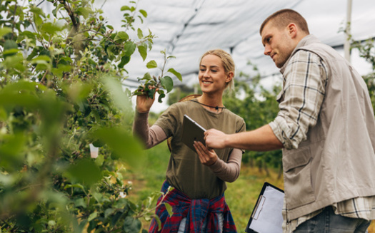 The Northern Agricultural Center of Excellence told a Minnesota House committee this week nearly 30% of today's farmers have less than a decade of experience, making the case business training needs to be enhanced. (Adobe Stock) 
