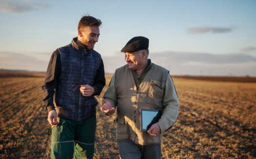 Young farmers face financial barriers and limited access to farmland. Older farmers are now considering who they will pass their land on to when they retire. (Adobe Stock)