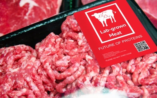 As of early 2025, lab-grown meat production in the U.S. remains limited, with low output and availability restricted to select venues. (zapp2photo/Adobe Stock)