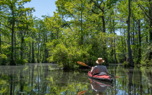 North Carolina's congressional score in the League of Conservation Voters' scorecard went down between 2023 and 2024. (Gerry/Adobe Stock)