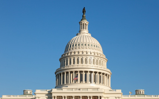The League of Conservation Voters' National Environmental Scorecard has been released annually since 1970. (Sarah Cheriton-Jones/Adobe Stock)