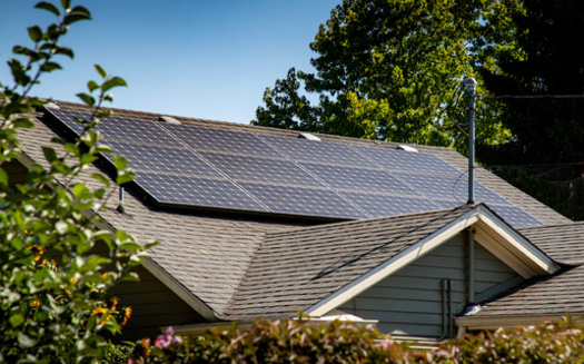 The U.S. Energy Information said Kentucky's largest utility-scale solar photovoltaic generating facility is a 55-megawatt solar farm that came online in mid-2024, about 40 miles east of Bowling Green. (Adobe Stock)