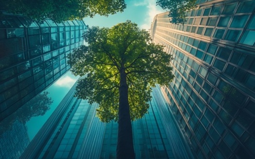 Some 36% of S&P 500 companies participate in carbon offsetting, according to the website CarbonNeutral.com.  (Adobe Stock/generated with AI)<br />
