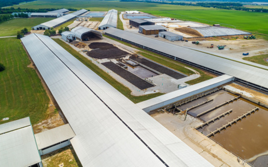 A concentrated animal feeding operation is a facility where animals have been, are or will be stabled or confined and fed, or maintained for a total of 45 days or more in any 12-month period. (Lost_in_the_Midwest/Adobe Stock)