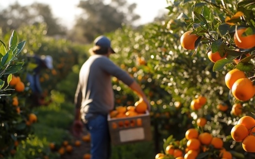 Farmers unions and agricultural advocacy groups are calling on Congress to push the U.S. Department of Agriculture to immediately release all frozen funds. (Adobe Stock)