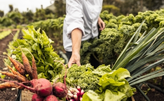 Eating food grown, raised or caught within a relatively short distance of where it's consumed supports local farmers and the economy and provides fresher meals. But 