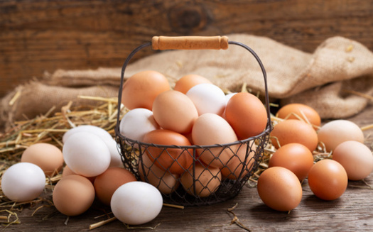 Nationally, the average cost of a dozen large eggs was $4.15 in December, up from $3.65 in November, according to data from the U.S. Bureau of Labor Statistics. (Nitr/Adobe Stock)