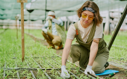 When looking for job training, 74% of urban Gen Zers strongly agree or agree that they could access the needed training, compared with 62% of rural Gen Zers, according to Gallup. (Adobe Stock) 
