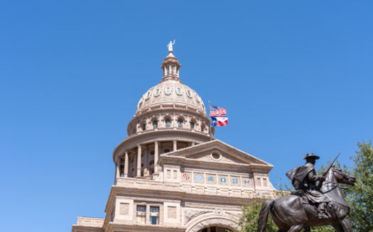 PoliChic Engagement Fund dice que es fundamental que los texanos se aseguren de que los legisladores voten en beneficio de su inters pblico. (JHVEPhoto/Adobe Stock)