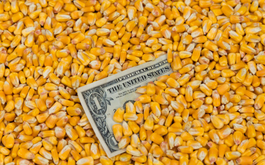Economists with the American Farm Bureau Federation said there are still unknowns but it is clear the escalating trade war will decrease demand for U.S. products in the second- and third-largest export markets for American farmers. (Adobe Stock)