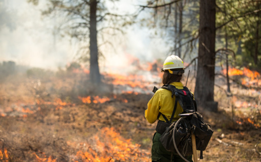 For 2025, 14 women's wildland firefighter boot camps were scheduled, including 12 with the U.S. Forest Service and one each with the Bureau of Land Management and the National Park Service. All have been canceled. (Adobe Stock)