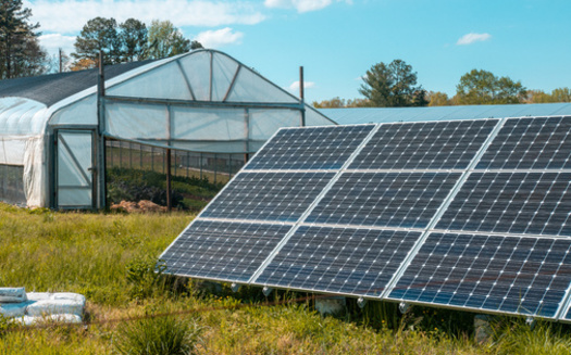 Students harvest food grown in the school greenhouse and use it for meals in their culinary program's in-house restaurant and cafeteria, creating a sustainable cycle. (Courtesy of Exact Solar) 