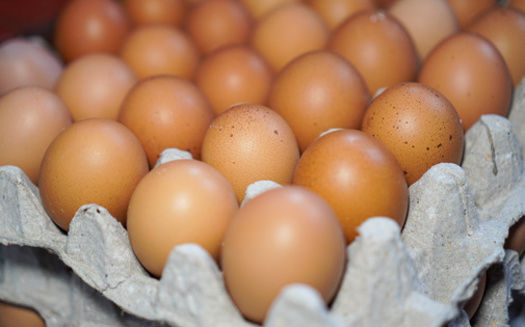 In 2022, U.S. sales of poultry and eggs totaled $76.5 billion, 14.1% of total U.S. agriculture sales.(Adobe Stock)