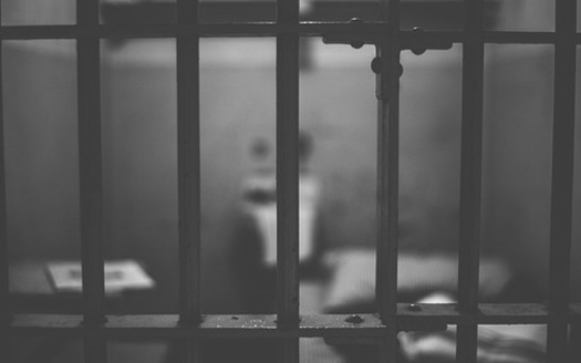 Researchers in the ZYWang Lab at the University of Washington investigated how social isolation disrupts natural behavioral patterns. Their current work examines the neurological and physiological impacts of prolonged isolation with direct implications for understanding solitary confinement's effects on humans. (Pixabay/iira116)