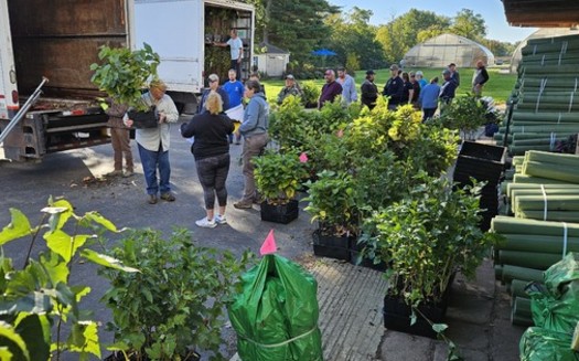The Chesapeake Bay Foundation plans to directly fund and distribute roughly 90,000 trees and critical tree sheltering supplies for Pennsylvania this spring, with an additional 100,000 planned for the fall planting season. (Chesapeake Bay Foundation)