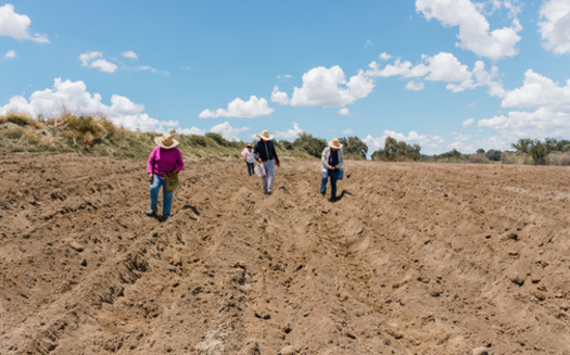 Residents of rural counties with a large share of tribal lands are more likely to rely on Medicaid for coverage for all age groups, including seniors, according to the Georgetown University Center for Children and Families. (Nailotl/Adobe Stock)