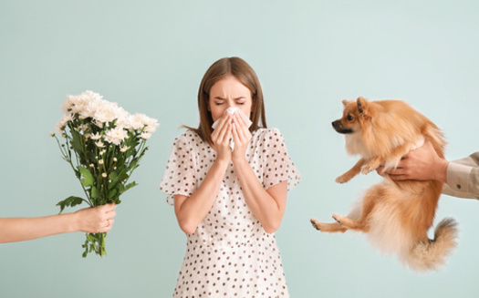 Experts recommend starting allergy medication early to help your body better manage symptoms once pollen season begins. (Adobe Stock)