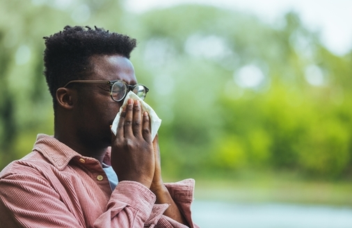 According to UnitedHealthcare, medical costs associated with pollen allergies exceed $3 billion a year, with nearly half of those costs linked to prescription drugs. (Adobe Stock)