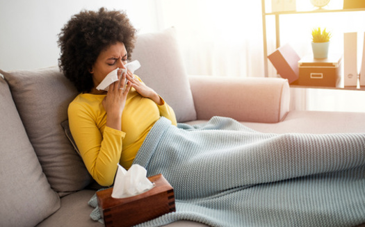 Medical experts said if you know high pollen days are in the forecast, taking medicine before they arrive can help alleviate symptoms. (Dragana Gordic/Adobe Stock)