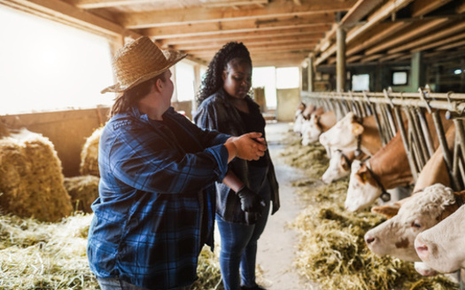Some 18% of farms operated by beginning farmers report sales of $50,000 or more, compared to 26% of farms run by established producers. (DisobeyArt/Adobe Stock)