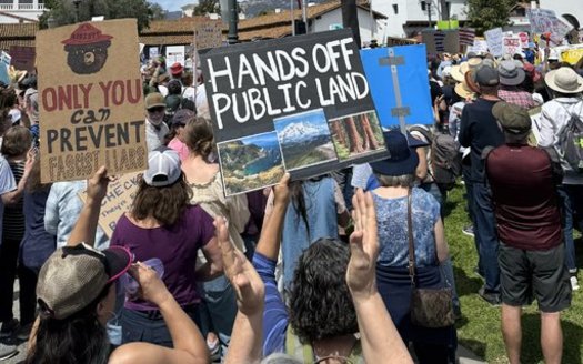 Protestors at the 