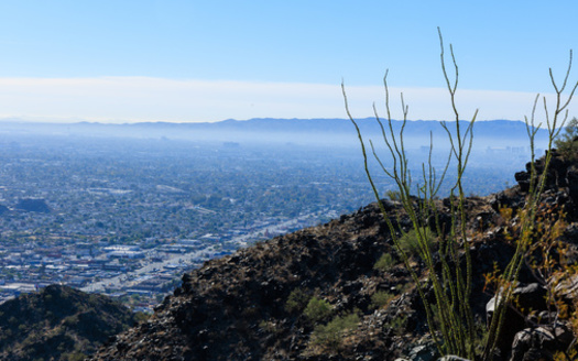 Maricopa, Gila, Pima and Pinal counties all received a letter grade of 