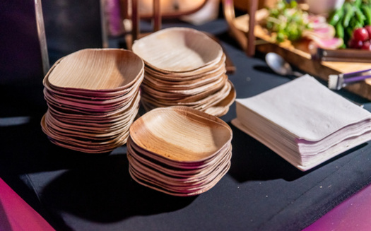 Al igual que el bamb, las alternativas al plstico son biodegradables y pueden fabricarse a partir de grasas y aceites vegetales, almidn de maz, paja, virutas de madera, serrn y residuos alimentarios reciclados. (Jaimie/Adobe Stock)