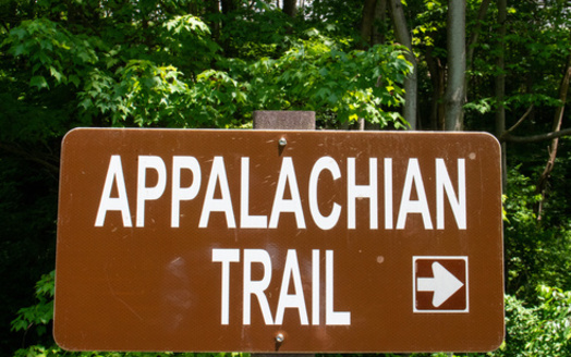 More than 250 rare, threatened or endangered species live along the Appalachian Trail corridor. (Adobe Stock)