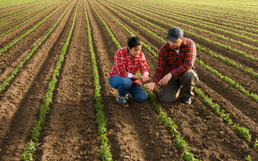 More than two-thirds of producers surveyed by the National Wildlife Federation believe allocating federal funds specifically to support farmers in adopting climate-smart agriculture practices is a worthwhile investment. (Dusan Kostic/Adobe Stock)
