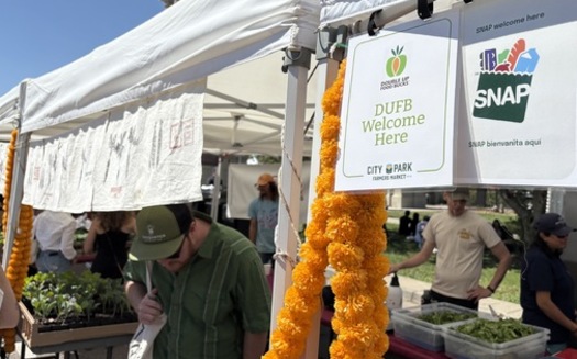 Los programas de incentivos como Double Up food bucks, que permiten a los participantes en el SNAP comprar ms productos frescos y otros alimentos saludables en los mercados agrcolas, han mejorado la dieta de las familias. (Adobe Stock)