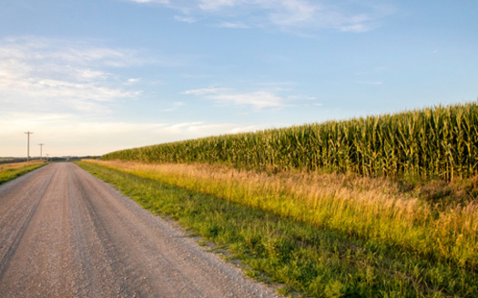 In 2024, Iowa farmers raised 2.63 billion bushels of corn for grain, the highest in the nation, according to the United States Department of Agriculture. (Adobe Stock)