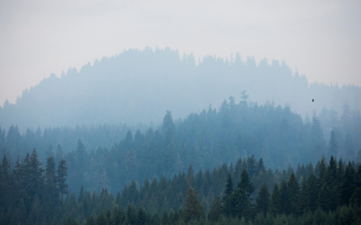 In 2023, several Midwestern states saw prolonged stretches of unhealthy air due to smoke blowing in from Canadian wildfires. A similar pattern has emerged this spring. (Adobe Stock)