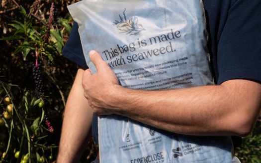 Compostable packaging made from seaweed or food waste is a more sustainable alternative to plastic wrappers and foam. (Sway)